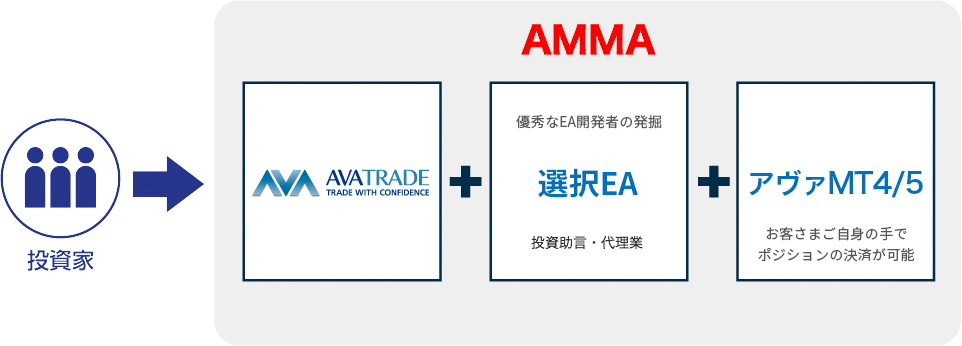 AMMA図解