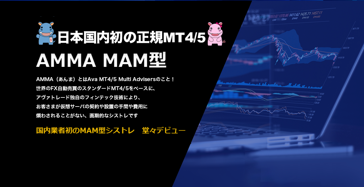 AMMA MAM型