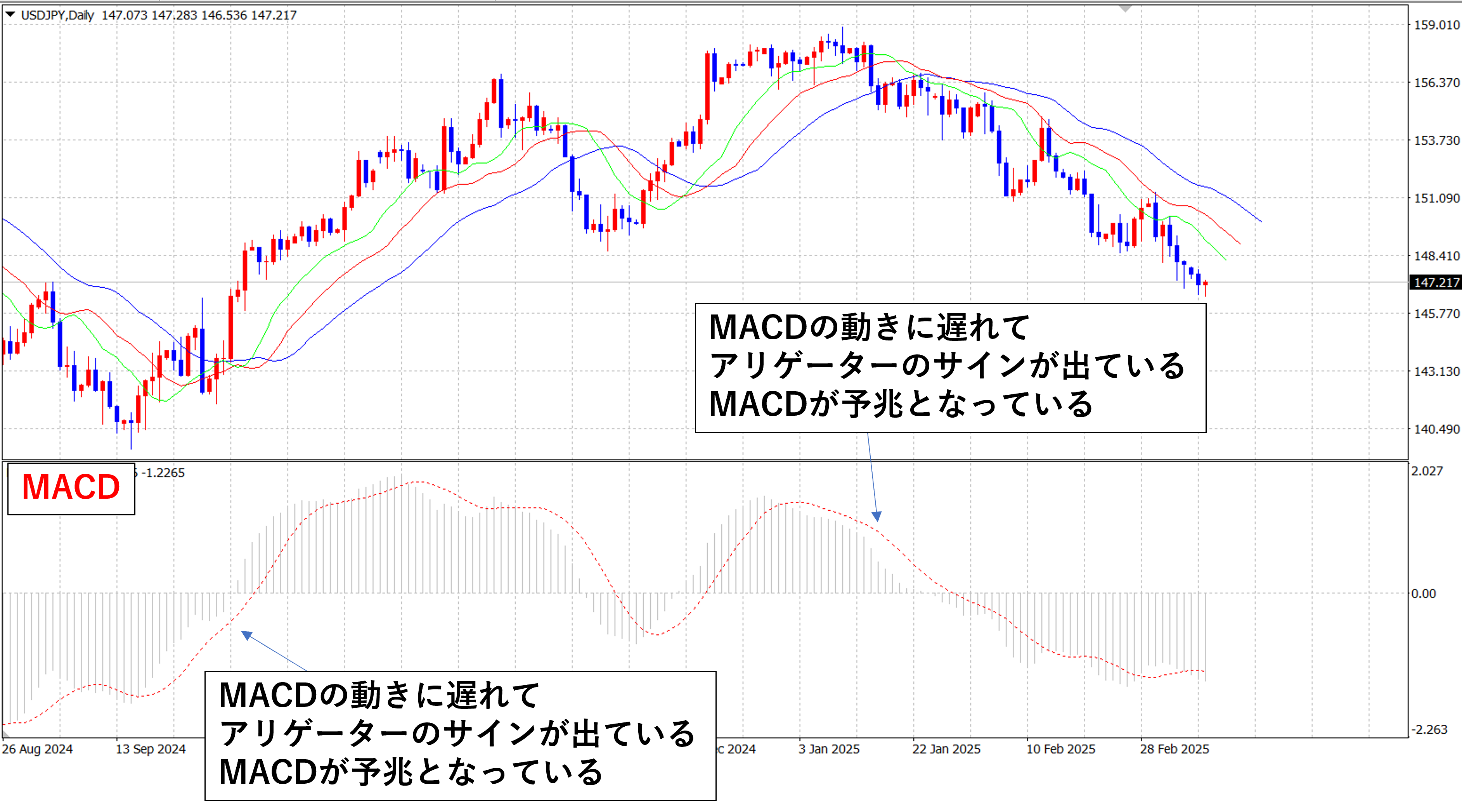 アリゲーターとMACD
